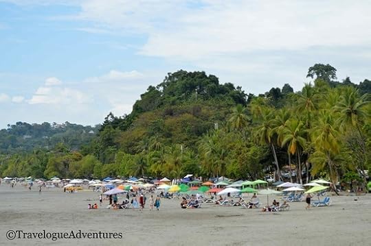 Manuel Antonio Beach Picture