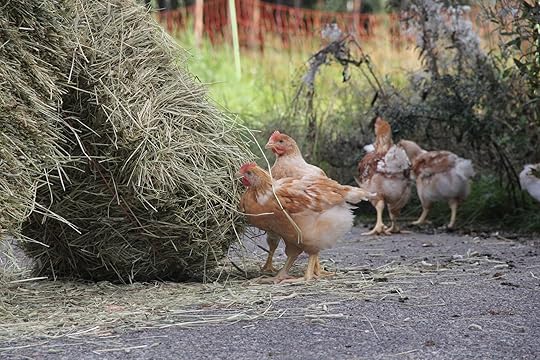 Ilmainen Lesbo vaimo porno