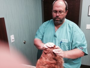 Treat ... treat ... go get me a treat