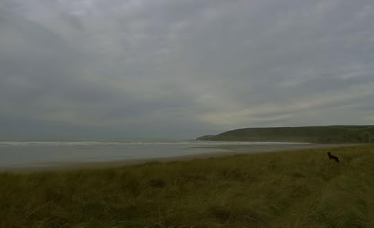 Gazing out to sea