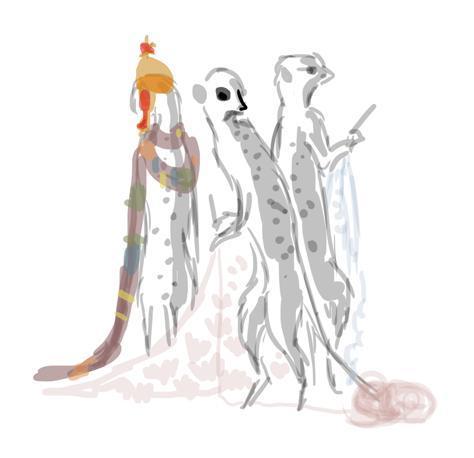 Meerkats
