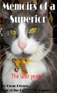 Memoirs of a superior