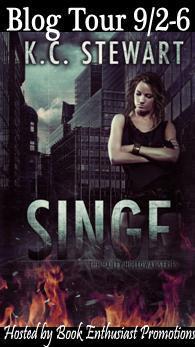 Singe Blog Tour Button