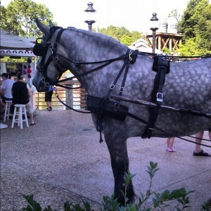 Horse and carriage at Port Orleans Riverside