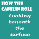 capelin roll