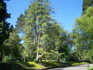 The Entrance 2