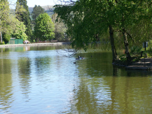 Boating Lake