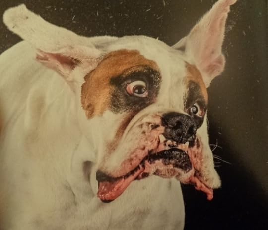  photo DSC09698_zps1113dd5c.jpg