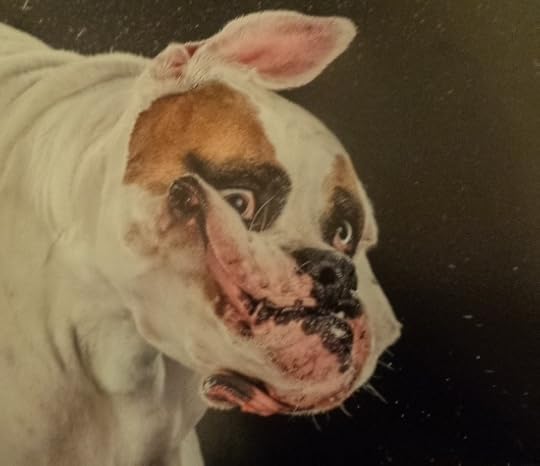  photo DSC09699_zps216612a6.jpg