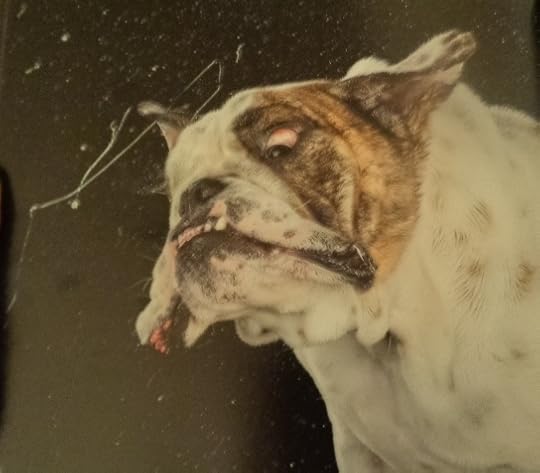  photo DSC09700_zpsae69f96d.jpg