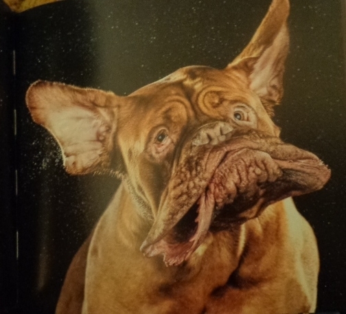  photo DSC09702_zps6ff3584d.jpg