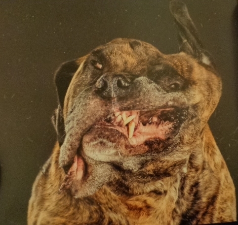  photo DSC09703_zpsfb0fbcd4.jpg