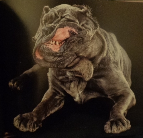  photo DSC09708_zpse2097c23.jpg