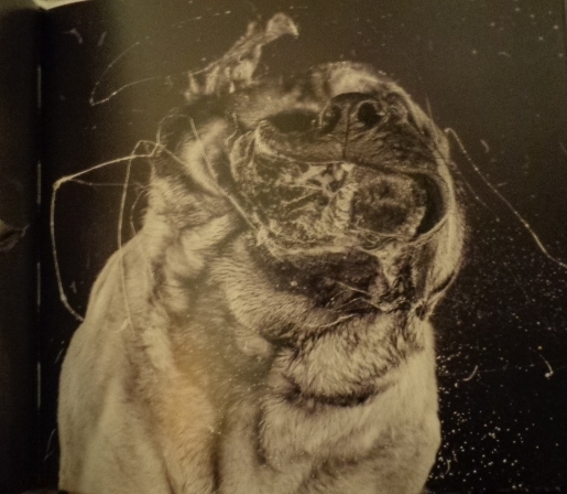  photo DSC09709_zps394052bc.jpg