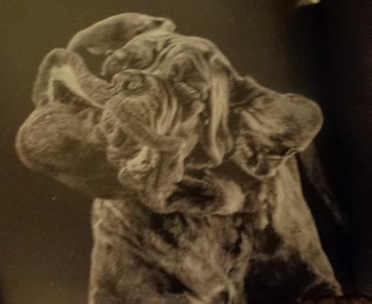  photo DSC09713_zps8983c86f.jpg