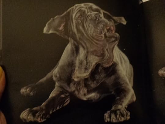  photo DSC09725_zps5b42fcf9.jpg