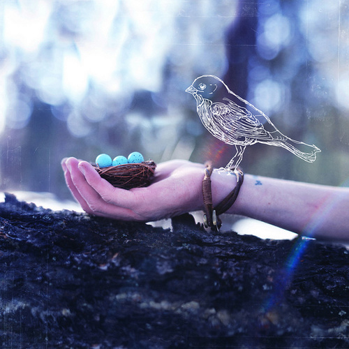 Photo by Joel Robison