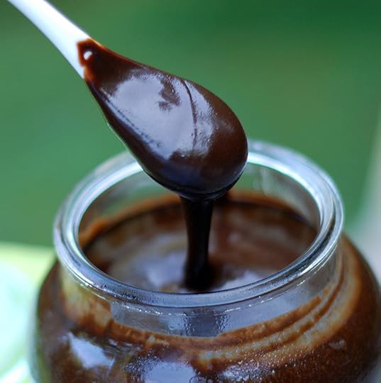 Homemade Chocolate Sauce with Organic Bison Chocolate Stout