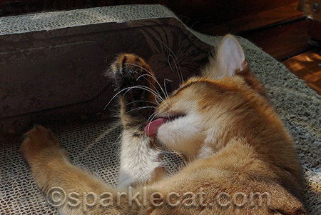 I taste good!