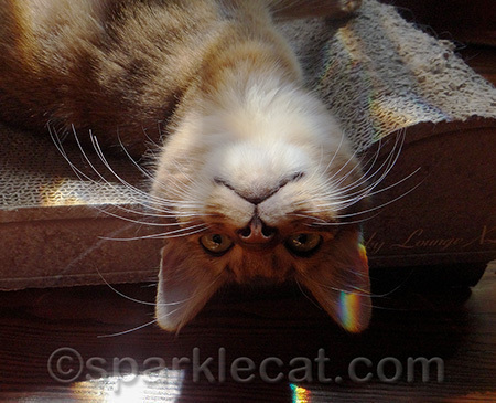Hey, you're upside down!