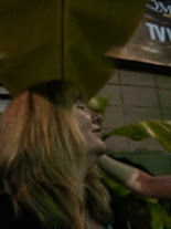 Falling asleep under the banana plant