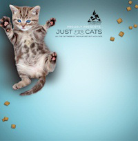internet-cat-video-festival missed it