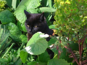 Thinking outside the box.