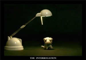 Let The Questioning Begin!