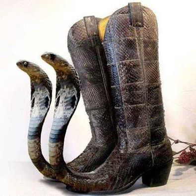 snake boots