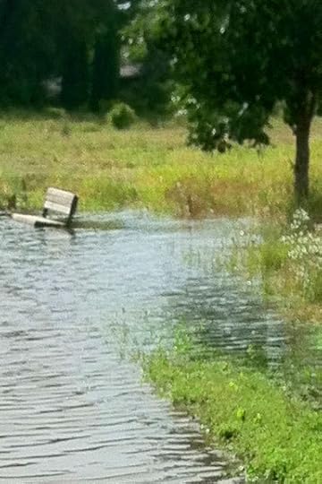 bench