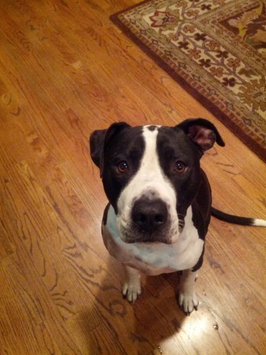 Seamus Wheaton