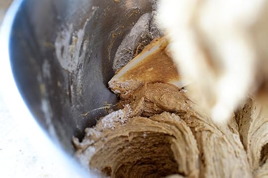 Chocolate Chunk Cookies