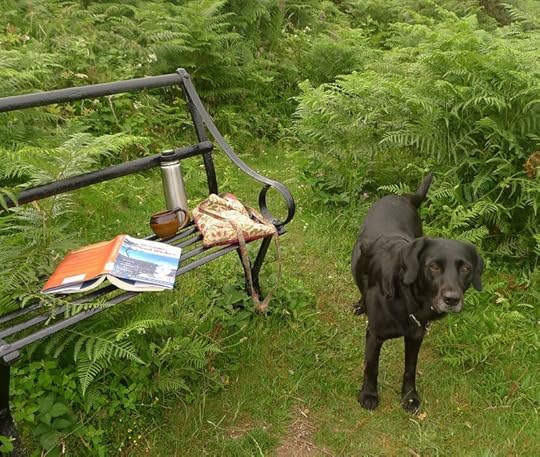 The old iron bench on Nattadon Hill