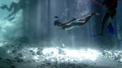 995995_376135829179992_37406508_n