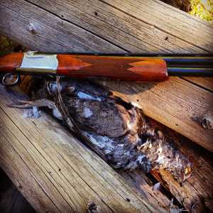 Ruger Red Label Over and Under an a big blue grouse. 