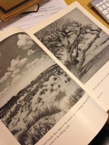 Palestine Picture Book 2