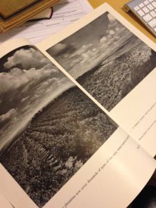 Palestine Picture Book 3