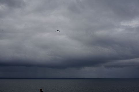 10-20140824-DSC02520