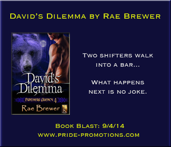 DavidsDilemmaBanner300x250