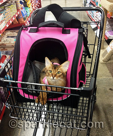 You can't buy me here!