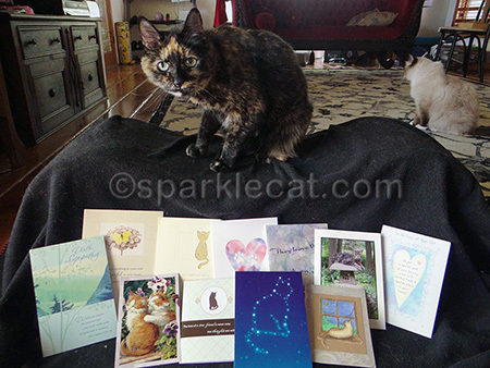 Binga says she read each one... but I'm not so sure she actually CAN read!