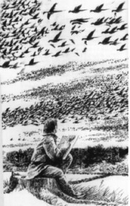 flock