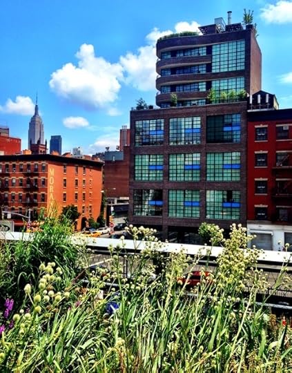 View from the Highline