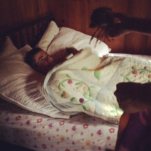 Crab for breakfast? August 2014