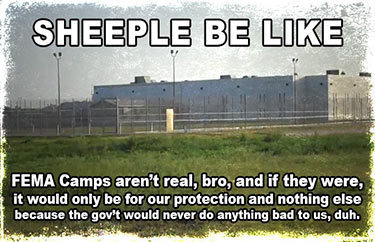 sheeplebelikefemacamps