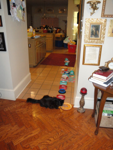 Jean's photos 025