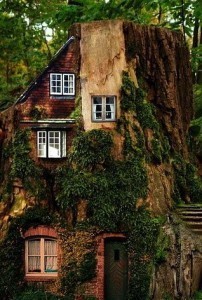 cb890d556c20ac5547f6206a03dd4205