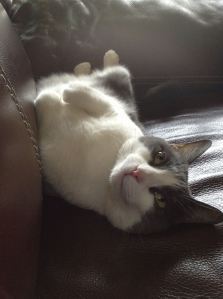 Liza Lou, enjoying time on the couch