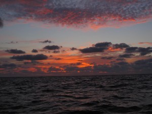IMG_1152