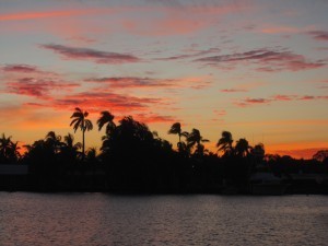 IMG_1969